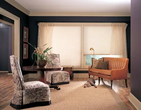 Cellular Shades photo 28 of 90