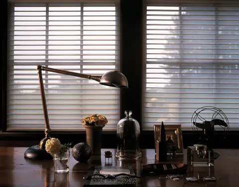 Window Shadings photo 2 of 34