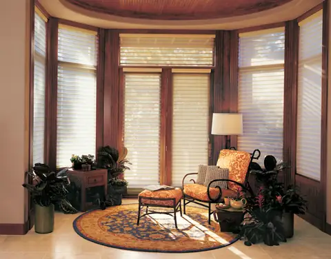 Window Shadings photo 6 of 34