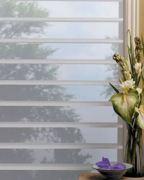 Window Shadings photo 21 of 34